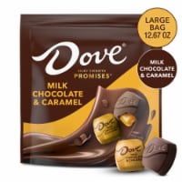 Dove Promises Milk Chocolate & Caramel Candy Large Bag Perspective: Main