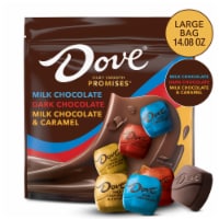 Dove Promises Milk Chocolate Dark Chocolate and Milk Chocolate Caramel Assorted Candy Large Bag Perspective: Main