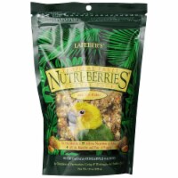 Lafeb 410028 10 oz Gourmet Tropical Fruit Nutri-Berries for Conures Bag