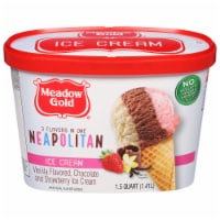 Meadow Gold Neapolitan Ice Cream Tub Perspective: Main