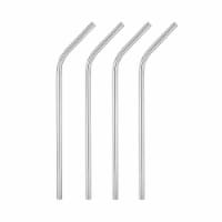 Dash of That Stainless Steel Straws - Silver