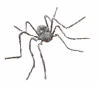 Holiday Home Posable Hairy Spider - Gray Perspective: Main