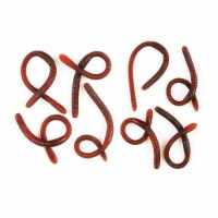 Holiday Home Worms Halloween Decor Perspective: Main