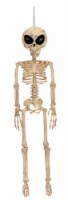 Holiday Home Skeleton Alien Decoration Perspective: Main