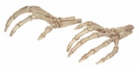 Holiday Home™ Skeleton Hands Decor - Bone Perspective: Main