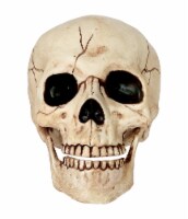 Holiday Home Skull Decor Perspective: Main