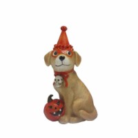 Holiday Home Halloween Dog with Hat Perspective: Main