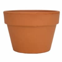 The Joy of Gardening Fern/Azalea Pot - Red