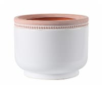 The Joy of Gardening Ada Cup Clay Planter - White/Red