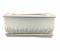 The Joy of Gardening Fern Rectangular Planter - Cream