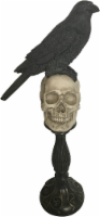 HD Designs Holiday Halloween Crow on Skull - Black Perspective: Main