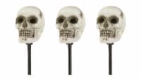 Holiday Home® Creepy Skull Pathway Markers - White/Black Perspective: Main