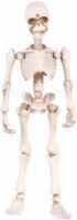 Holiday Home® Poseable Human Skeleton - White Perspective: Main