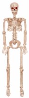 Holiday Home Lighted Posable Skeleton - Cream Perspective: Main