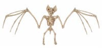 Holiday Home® Skeleton Bat - Cream Perspective: Main