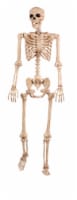 Holiday Home® Pose-N-Stay Skeleton - Cream