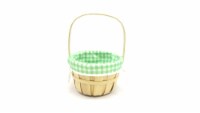 Holiday Home Print Lined Easter Basket - Green