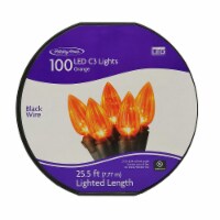 Holiday Home® 100 LED C3 String Lights - Orange Perspective: Main