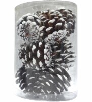 Holiday Home Shatterproof Pinecone Ornaments - Brown/White Perspective: Main