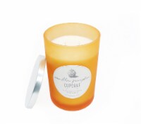HD Designs Vanilla Pumpkin Cupcake Candle Jar