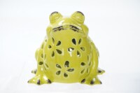 The Joy of Gardening Solar Ceramic Frog Perspective: Main