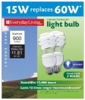 Everyday Living® Daylight 15-Watt (60-Watt) Spiral Compact Fluorescent Light Bulb Perspective: Main