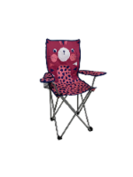 Glacier's Edge Cheetah Print Youth Chair