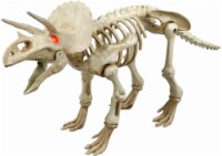 Pan Asian Animated Triceratops Skeleton Perspective: Main