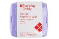 Everyday Living® Ice Packs - Mint Leaf Perspective: Main