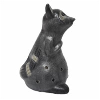 Earth Accents Racoon Luminary Lantern - Black Perspective: Main