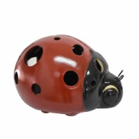 Earth Accents Lady Bug Luminary Lantern - Red/Black Perspective: Main