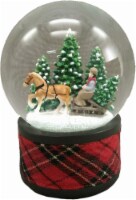 HD Designs Holiday Horse with Sleigh Snow Globe Perspective: Main