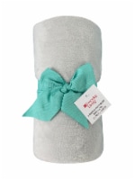 Everyday Living® Microplush Throw - Gray Perspective: Main