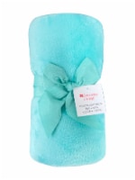 Everyday Living® Microplush Throw - Aqua Perspective: Main
