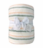 HD Designs™ Oversized Microplush Throw Perspective: Main