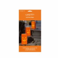 Holiday Home Pumpkin Luminary Bags Perspective: Main