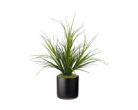 HD Designs Artificial Grass in Small Pot - Matte Black Perspective: Main