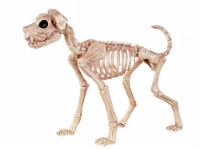 Holiday Home Buster Bones Skeleton Dog Decor Perspective: Main