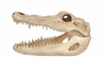 Holiday Home Skeleton Alligator Skull Decor Perspective: Main