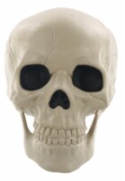 Holiday Home Medium Skull with Movable Jaw Decor Perspective: Main