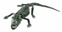 Holiday Home Small Alligator Skeleton Decor - Green Perspective: Main