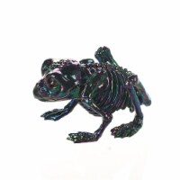 Holiday Home Small Frog Skeleton Decoration - Oil Slick Perspective: Main