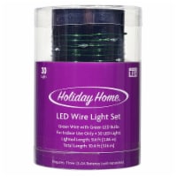 Holiday Home® 30 LED Wire Light Set - Green Perspective: Main
