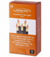Holiday Home® 70 Incandescent Mini String Lights - Orange Perspective: Main