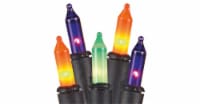 Holiday Home 70 Mini Multicolor Twinkle Lights Perspective: Main
