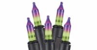 Holiday Home Mini String Lights - Green/Purple Perspective: Main