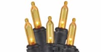 Holiday Home® LED Mini String Lights - Orange Perspective: Main