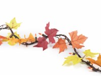Holiday Home Thanksgiving Maple Leaf Light Set Perspective: Main