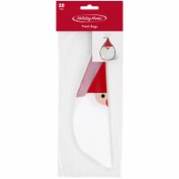 Holiday Home® Treat Bags - Santa Perspective: Main