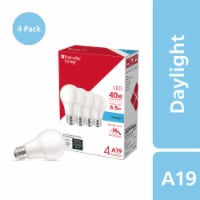 Everyday Living® 6.5-Watt (40-Watt) A19 LED Light Bulbs